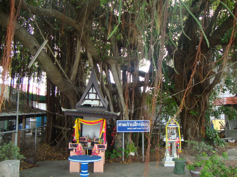 right-2